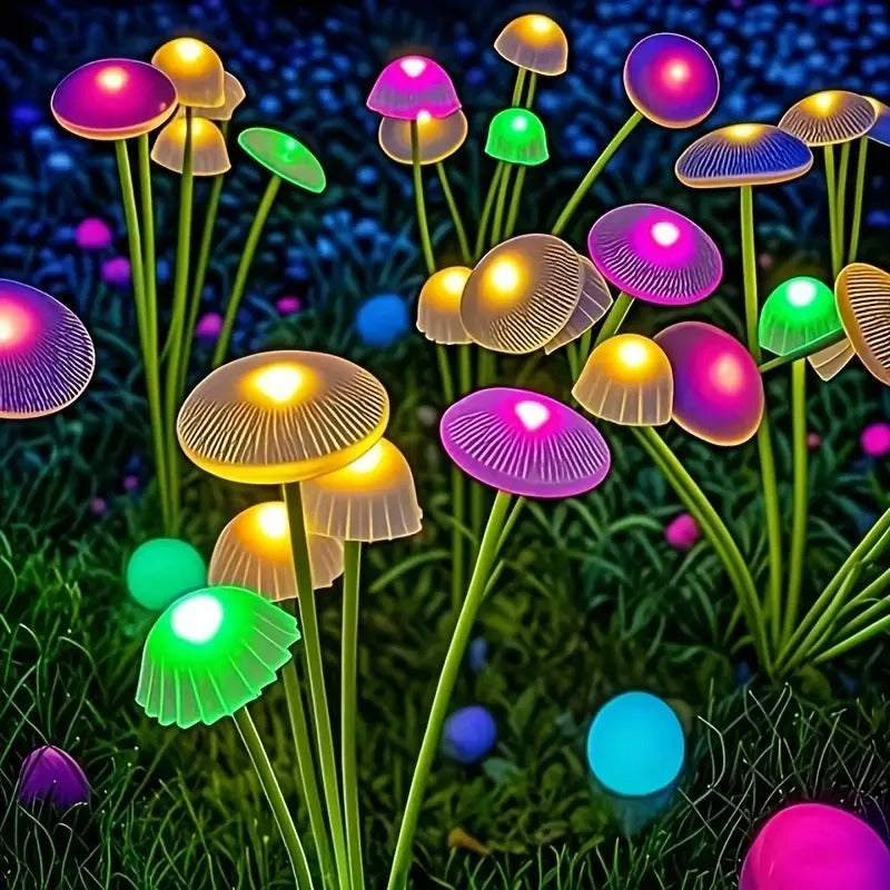Magische Pilze