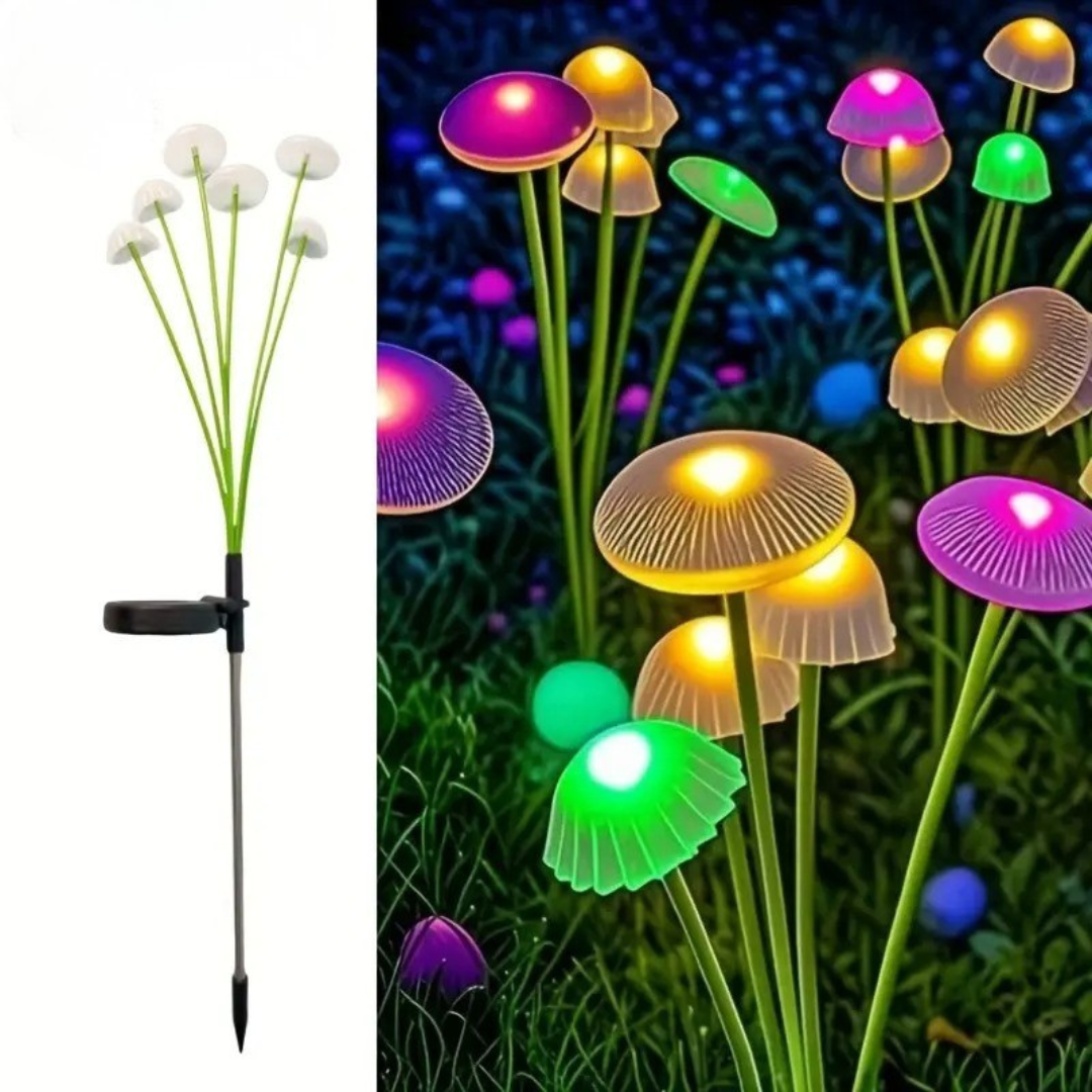 Magische Pilze